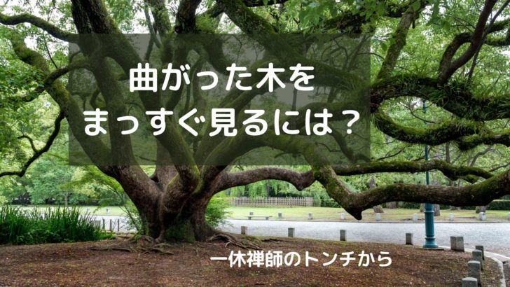 曲がった松をまっすぐ見るには アトリエ アルブル